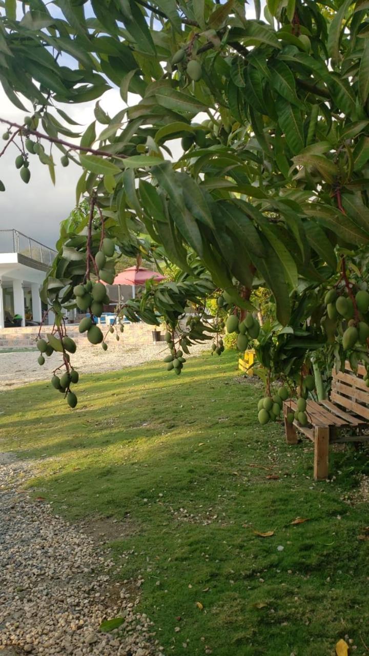 Casa De Campo Nerys 圣胡安德拉马瓜纳 外观 照片